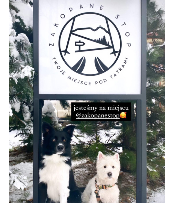 Zdjęcie czajnika na stole